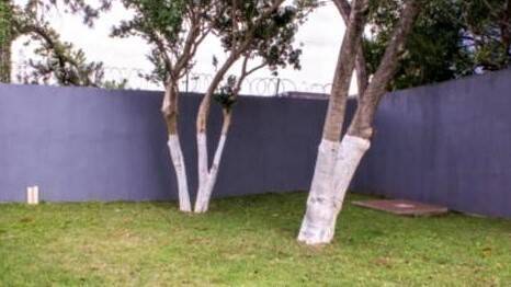 Sobrado, 4 quartos, 480 m² - Foto 36