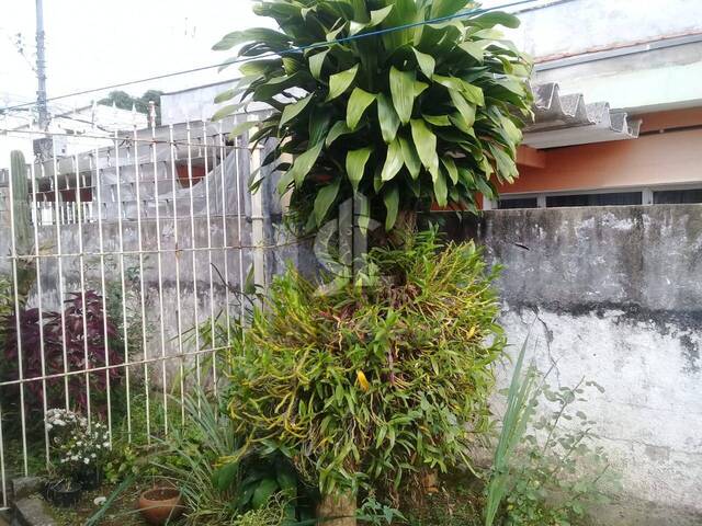 Casa para Venda em São Caetano do Sul - 5